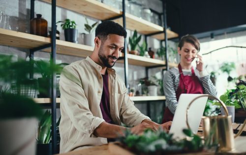 Man and woman shop assistants with laptop working in indoor potted plant store, small business concept.